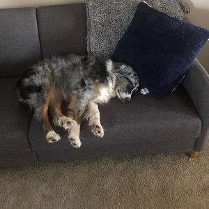 Meet your Posher, Wanda